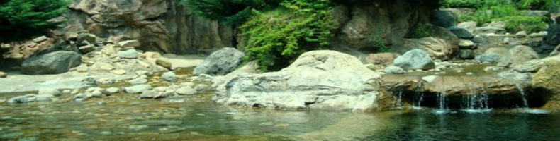 ���ی�,���g��,��_���Y�f�팸