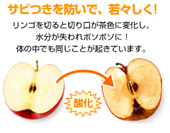 抗酸化作用,活水器,活性酸素